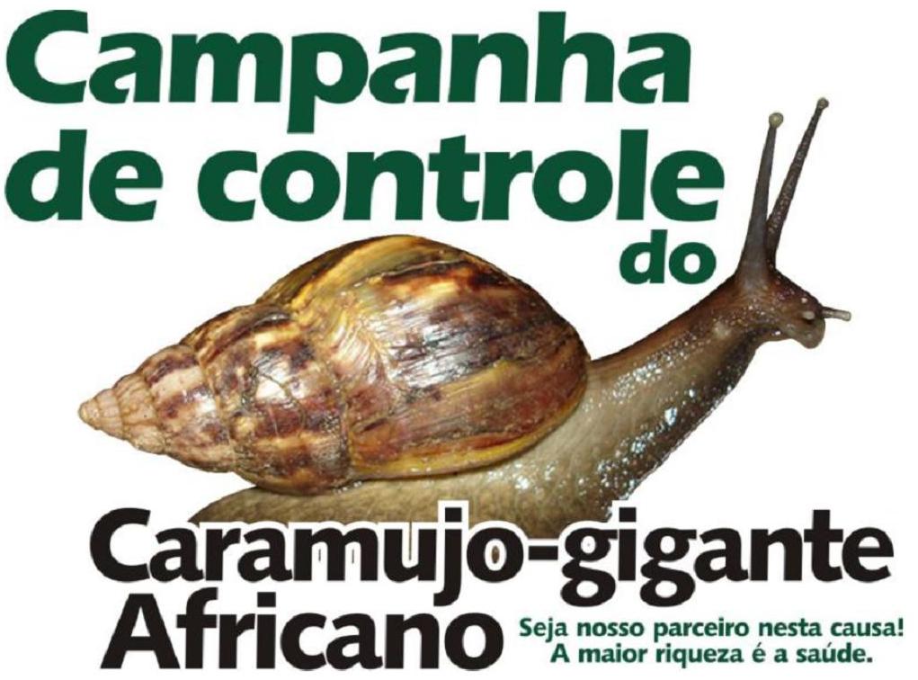 Campanha de combate ao caramujo africano é realizada em Vianópolis Correspondente Vianopolino